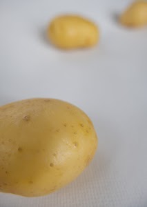 _DSF2630.jpg