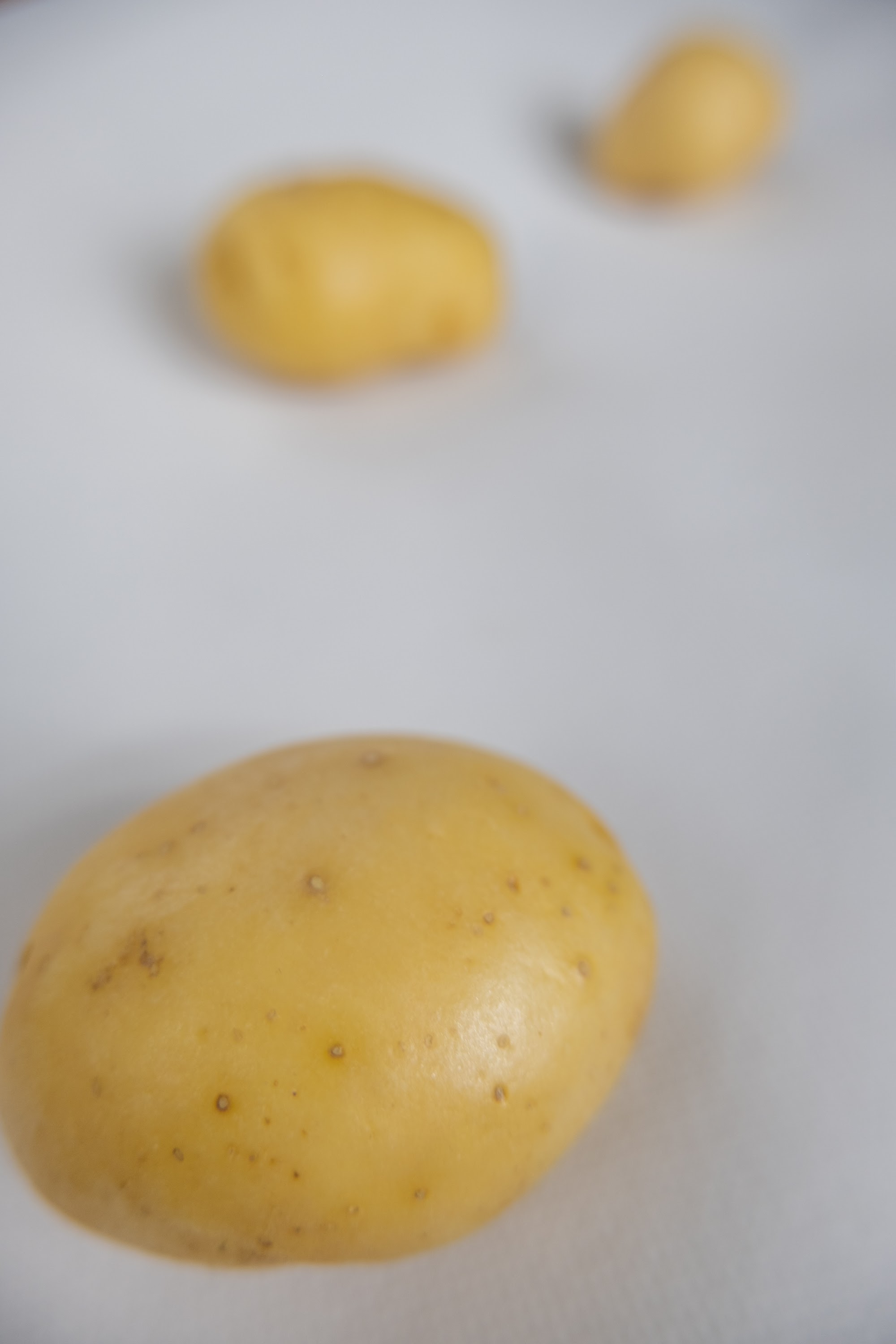 _DSF2631.jpg
