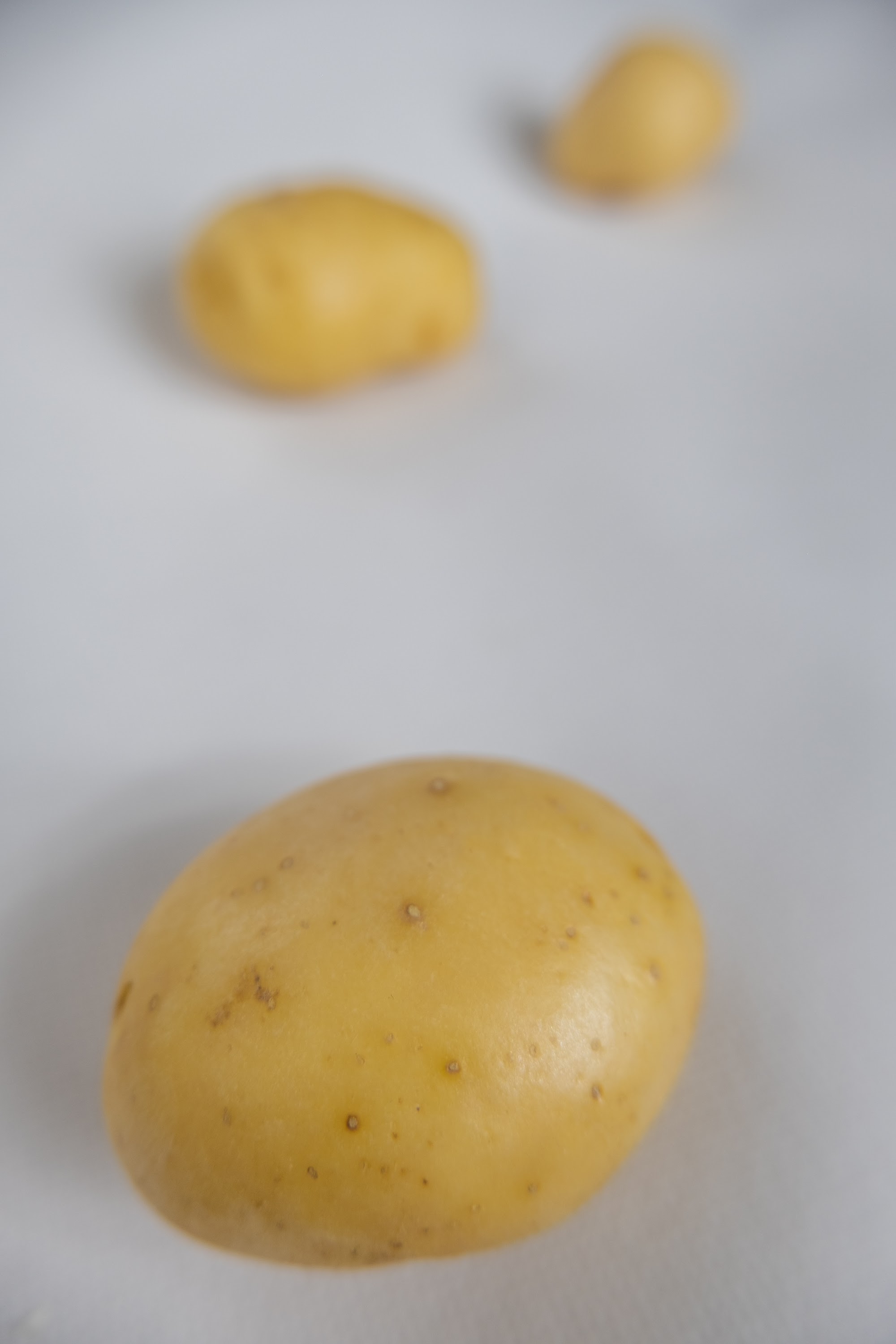 _DSF2632.jpg