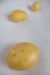 _DSF2632.jpg
