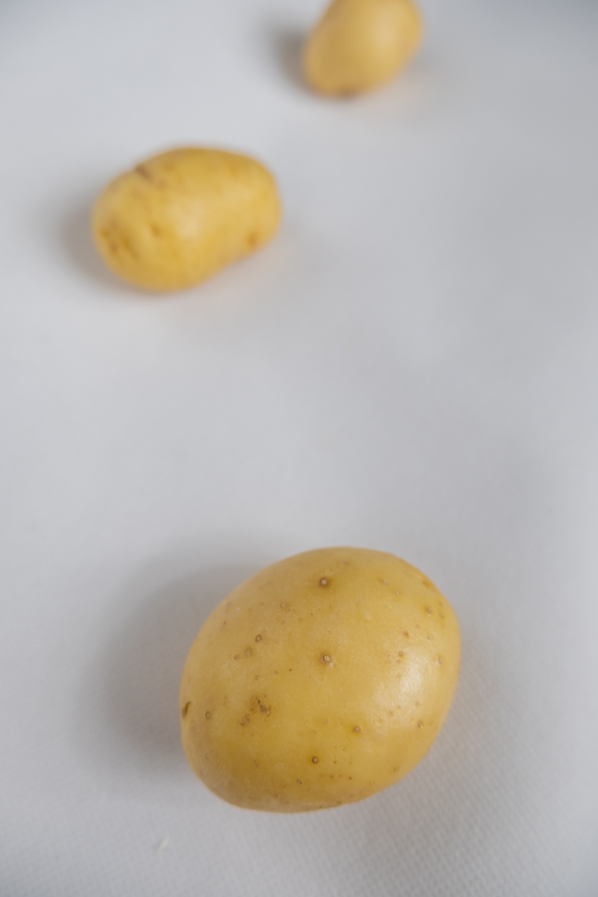 _DSF2633.jpg
