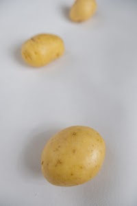 _DSF2633.jpg