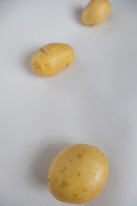 _DSF2634.jpg