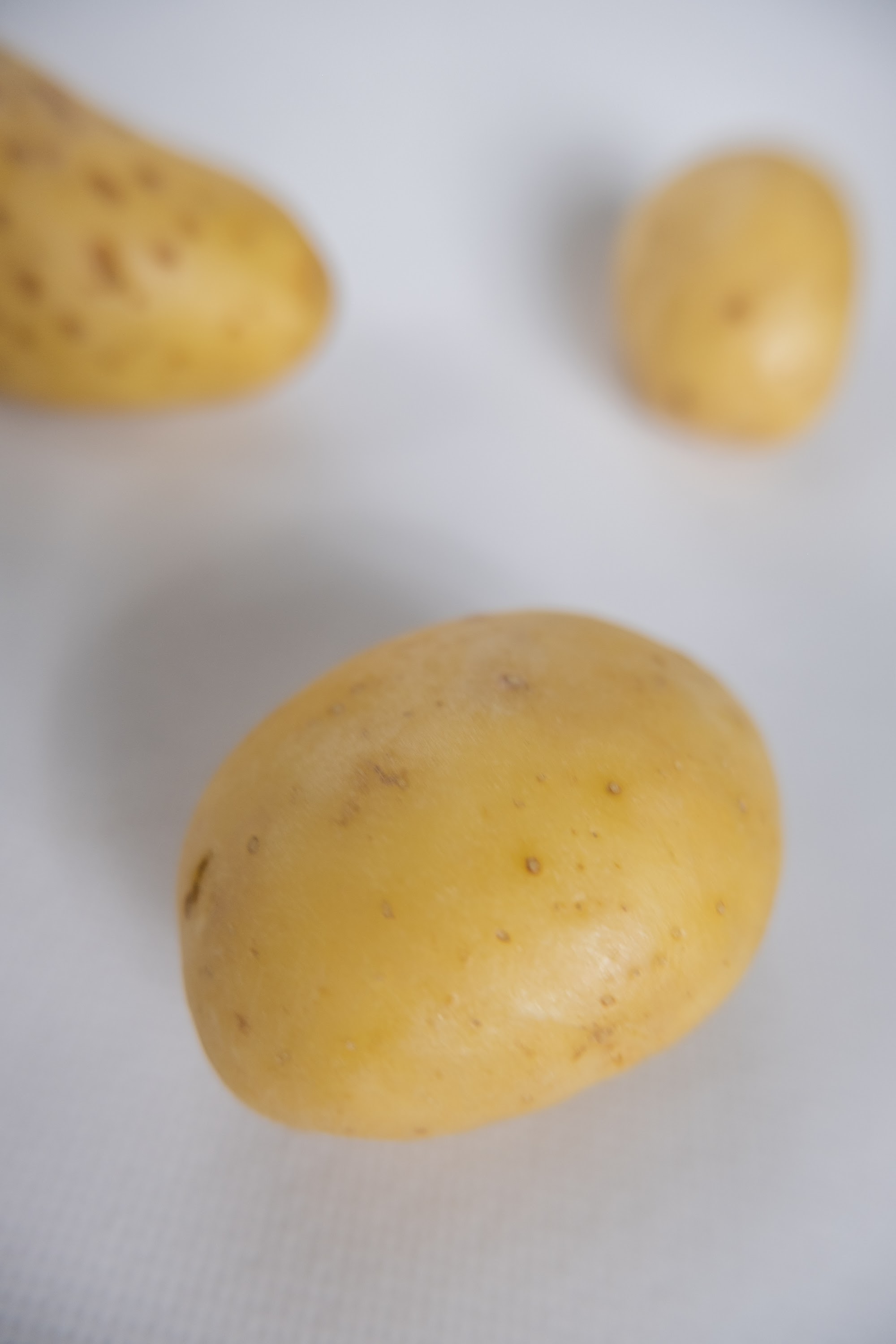 _DSF2635.jpg