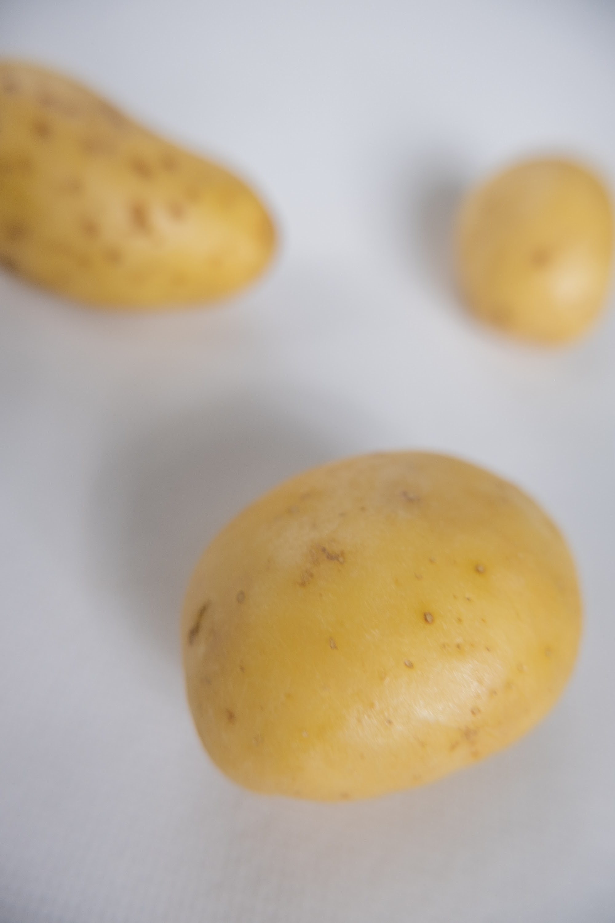 _DSF2636.jpg
