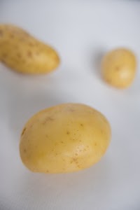 _DSF2637.jpg