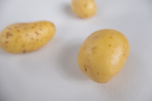 _DSF2642.jpg