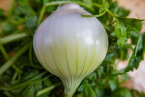 _DSF2822.jpg