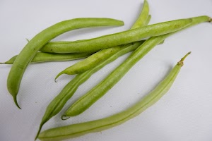 _DSF2921.jpg