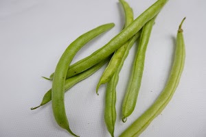 _DSF2922.jpg