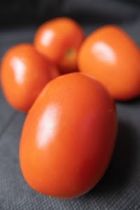 _DSF4445.jpg
