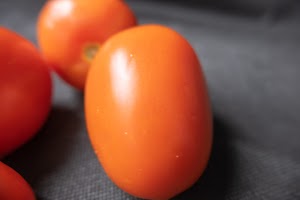 _DSF4454.jpg
