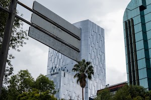 _DSF0962.jpg