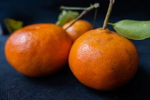 _DSF5571.jpg