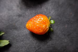 _DSF5751.jpg