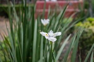DSC_2085.jpg