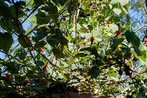 DSC_2198.jpg