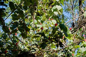 DSC_2199.jpg