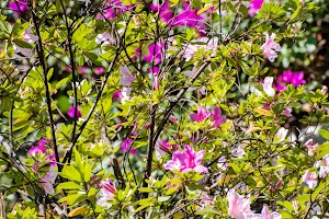 DSC_2217.jpg