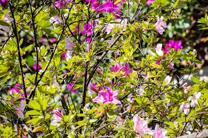 DSC_2218.jpg