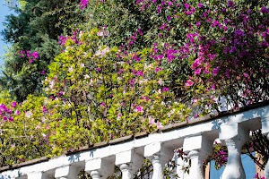 DSC_2219.jpg