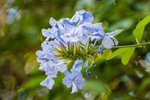 DSC_2227.jpg