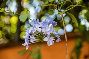 DSC_2228.jpg