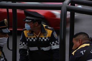IMG_9259.jpg