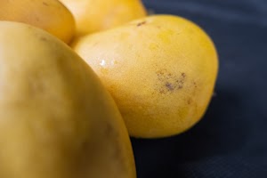 _DSF6543.jpg