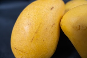 _DSF6567.jpg