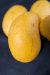 _DSF6574.jpg