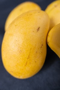 _DSF6576.jpg