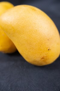 _DSF6593.jpg