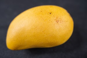 _DSF6600.jpg