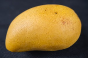 _DSF6603.jpg