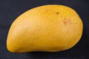 _DSF6604.jpg