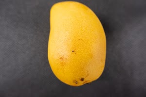 _DSF6608.jpg