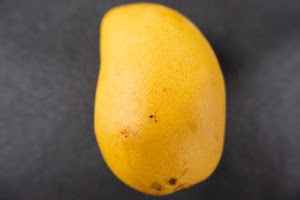 _DSF6609.jpg
