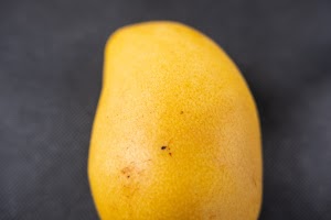 _DSF6610.jpg