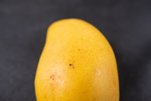 _DSF6611.jpg