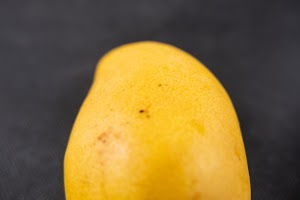 _DSF6612.jpg