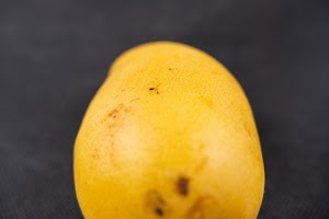 _DSF6613.jpg