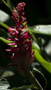 DSC07905.jpg
