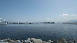 DSC08202.jpg