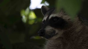 DSC08207.jpg