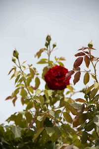 IMG_3544.jpg