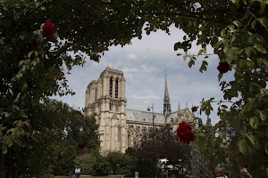IMG_3551.jpg