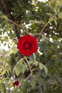 IMG_3577.jpg