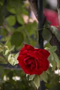 IMG_3578.jpg