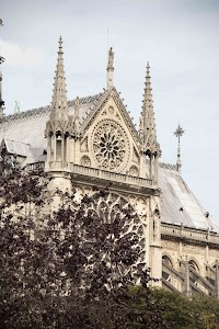 IMG_3585.jpg